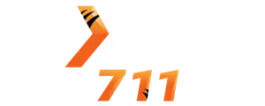 thnextspin711.com Logo